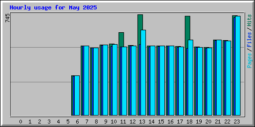 Hourly usage for May 2025
