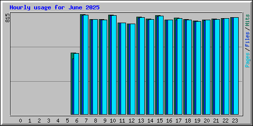 Hourly usage for June 2025