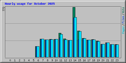 Hourly usage for October 2025