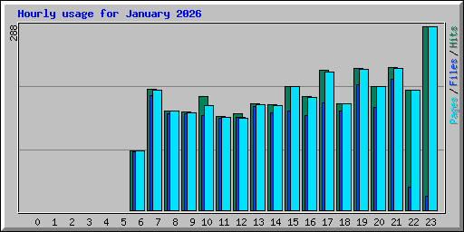 Hourly usage for January 2026